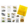 3D Illustration Real Figure Box Wildcat Cat Animal