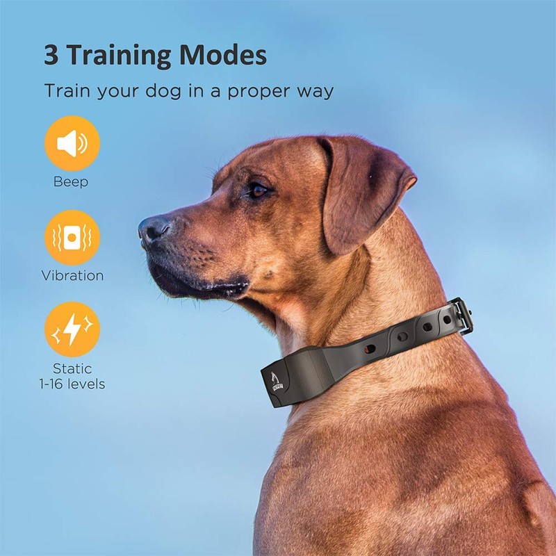 PATPET Dog Training Collar for Large Dogs - IPX7 Waterproof