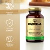 Solgar Chlorella 520 mg - 100 Vegetable Capsules