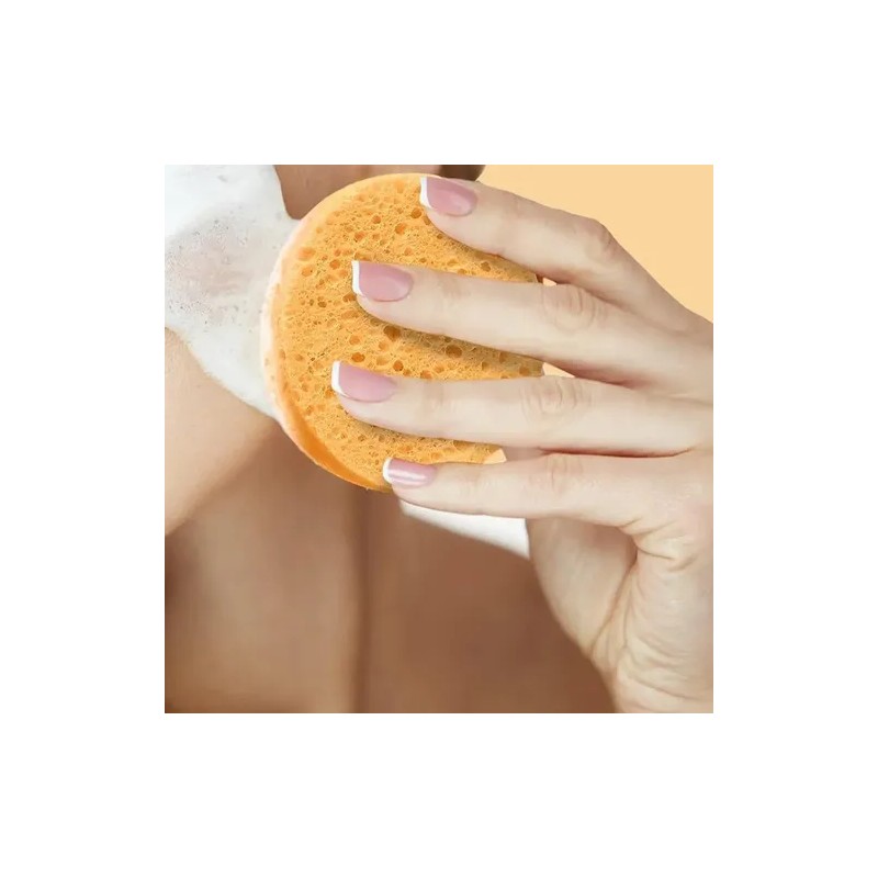 50 Pzs Esponja Facial Comprimida Para Limpieza Y Exfoliación