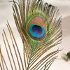 Piokio 100 pcs Natural Peacock Feathers in Bulk 16-18 inch(40-45
