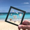 DEALSGOGO 2pcs Seashell holder, 3D Floating Seashell Display Box, Transparent