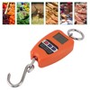 Portable Electronic Scale High Accuracy Digital Hanging Scale 200kg Weight