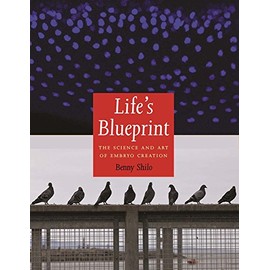 Life's Blueprint: The Science and Art of Embryo Creation