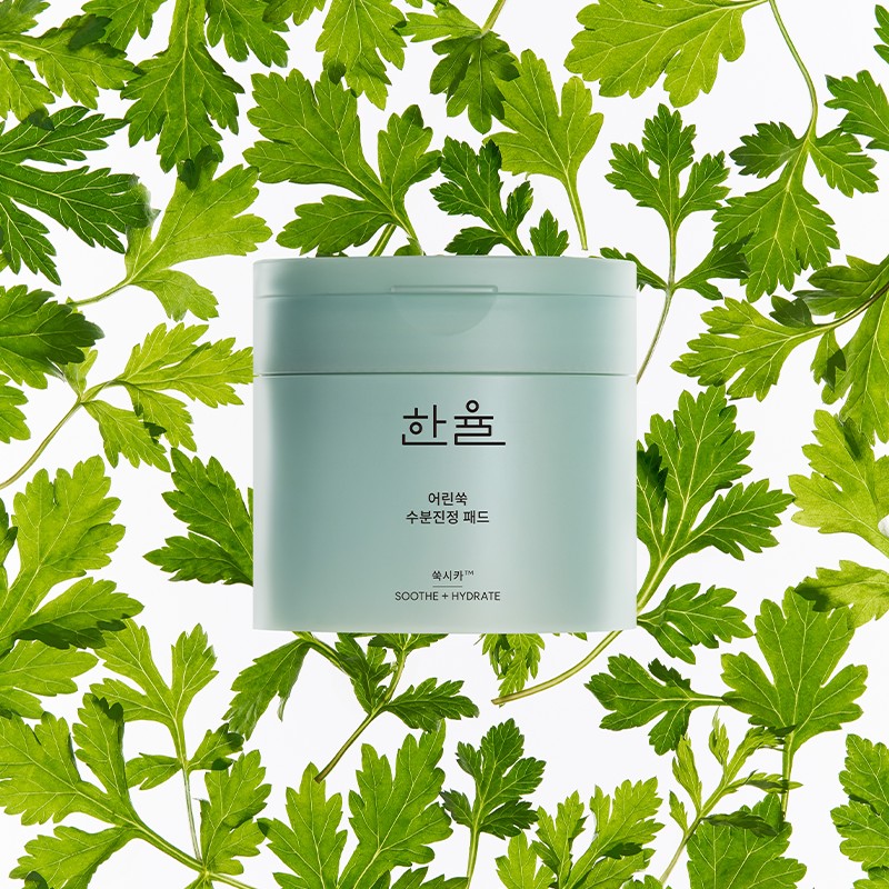 Hanyul [한율]어린쑥 수분진정 패드 기획세트 [Hanyul] Young Mugwort Hydrating Calming