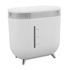 Humidifier 2L Capacity USB Charging Delicate Double Spray Humidifier with