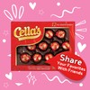 Cella's Milk Chocolate Foil Wrapped Cherries 12 Count(pack of 2