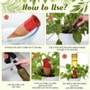 SiliFine 12 Pack Plant Watering Devices Include 6 Terracotta Self