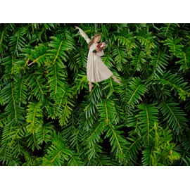Nutcracker Ornaments: Clara from the Nutcracker Ballet Wearing Her White Gown Holding a Nutcracker for the Christmas Tree, or Window or Everyday Gift for a Ballerina Dancer or Enthusiast