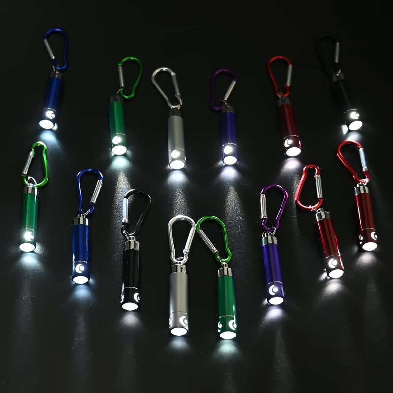GOLDGE 14 Pieces LED Keyring Torch Mini Torch for Outdoor