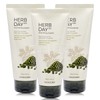 The Face Shop Herb Day 365 Cleansing Foam 170ml Mung