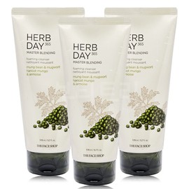 The Face Shop Herb Day 365 Cleansing Foam 170ml Mung Bean & Mugwort x 3 / 더페이스샵 허브데이 365 클렌징폼 170ml 녹두앤쑥 X 3개