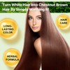 Hair Dye Shampoo for Natural 500 ml, Long Lasting Hair