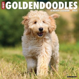 Just Goldendoodles 2025 12" x 12" Wall Calendar