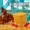Automatic Chicken Waterer Cup with 12L Handheld Barrel Poultry Drinking