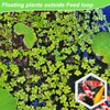 PEUTIER 5pcs Aquarium Floating Plant Corral, Foam Fish Feeding Rings