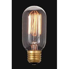 B&P Lamp® Vintage Style Oval Light Bulb