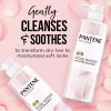 Pantene Sulfate Free Nourishing Shampoo and Conditioner Set with Rose