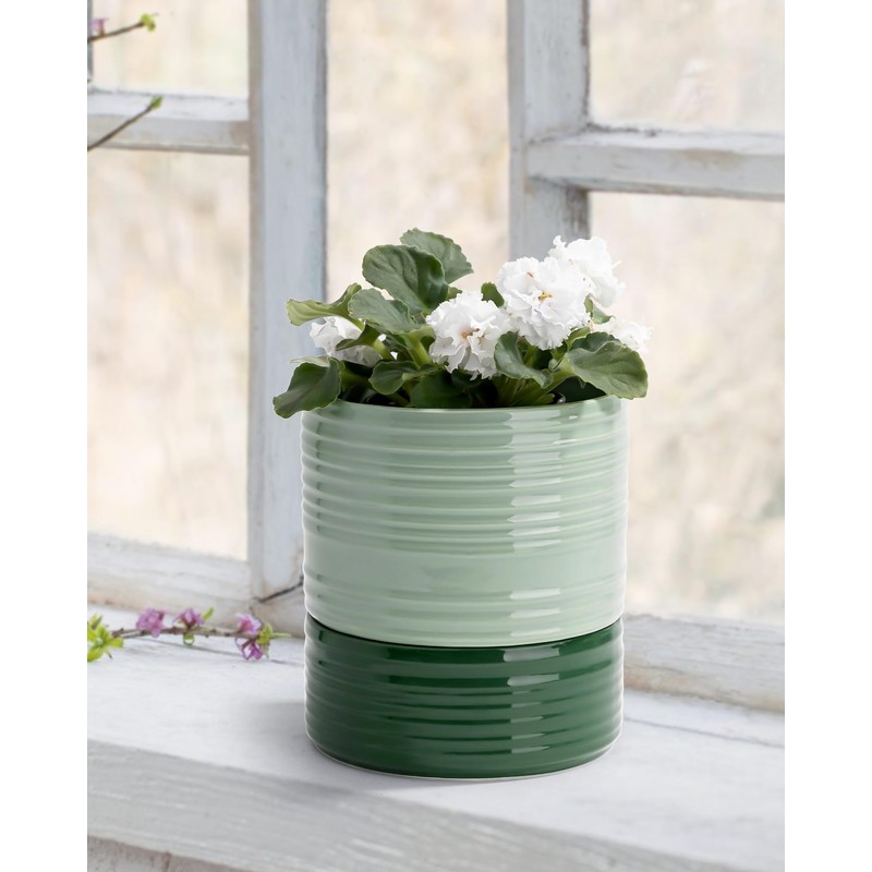 Fayoula Self Watering Pots for Indoor Plants, 6 Inch Ceramic
