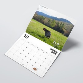 Dogs Going In Beautiful Places - 2025 Calendar Great Gag Gift Christmas White Elephant