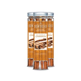 ScentSicles 6 Piece Two Dashes of Cinnamon Bottle, 3 Bottles Per Pack