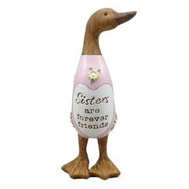 Shudehill Giftware Daisy Message Wooden Duck Ornament Gift - Family, Friends, Auntie, Daughter, Sister, Grandma, Nan or Mum Messages (Sister)