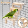 Parrot Swing & Perch Toys for Bird Cages - Hanging