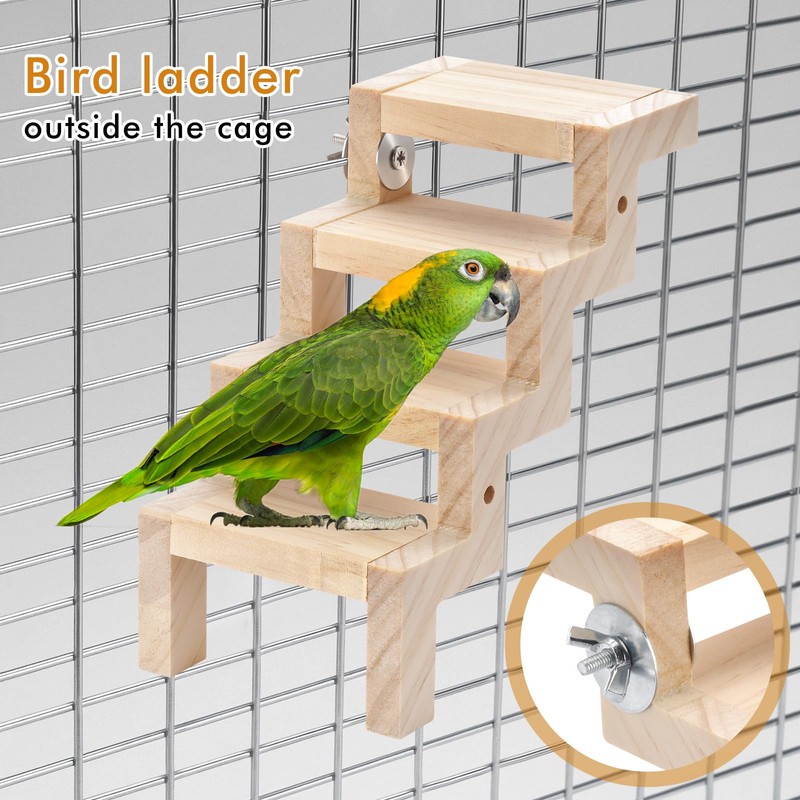 Parrot Swing & Perch Toys for Bird Cages - Hanging
