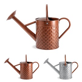 BLstyle 1 Gallon Metal Watering Can for Outdoor Indoor Plants, Copper Colored Watering Can with Removable Spray Spout, Ideal for Garden Watering