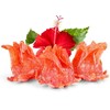Snack Delights Candied Dried Hibiscus Flowers, Dehydrated Edible Hibiscus Flower