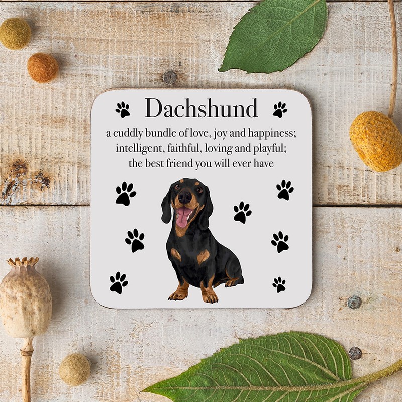 Dachshund Drinks Coaster - Dachshund Gift For Men, Women -