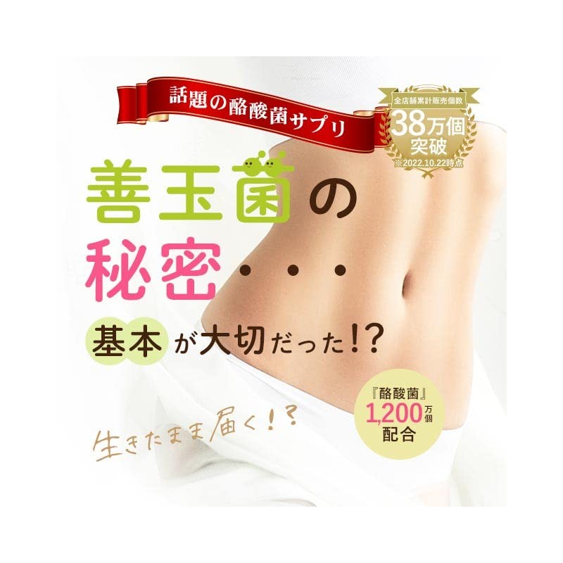 オーガランド (ogaland) 酪酸菌 (90粒 / 約3ヶ月分) 酪酸菌配合数 1粒あたり 約1200万個配合 (体内フローラ/トイレサポート)