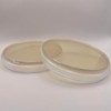 Prepoured Nutrient Agar Plate Petri Dishes Growing Kit Science Projects