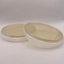 Prepoured Nutrient Agar Plate Petri Dishes Growing Kit Science Projects Supplies Culture Dishes for School Science Seedling 9CM (2)