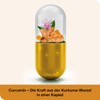 curcumin-Loges® - 60 Capsules - Dietary Supplement with Highly Bioavailable