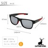 Captain Stag CS-009-1-EH-72 Men's Sunglasses with Sunglasses Case, Plastic Frame,
