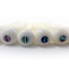 Crosby Slotted Pure Bone Bridge Pins with Abalone Dot Inlay
