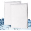 Washable Oil-Absorbing Scum Sponges - 2-Pack for Pools & Hot