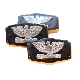 ½ Dz. Military Rank Cookies! Leiutenants, Captain, Colonel, Master Sergeant, Promotions Army, Birthday Party Favors or Gift, Navy, Coast Guard, Marines