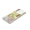 Scratch Cash 100 x 2,000 Lira Play Money (Real Size)