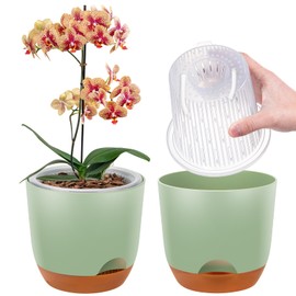 2er-Set Orchideentopf Groß, 18,2 cm Doppelschicht-Design – Transparenter Selbstbewässerungstopf mit Übertopf, Orchideen-Bewässerungssystem, Blumentopf für Orchideen(Grün)