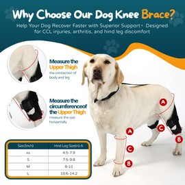 YENBOLOI Dog Knee Brace Dog ACL Brace Hind Leg Dog ACL Knee Brace with Extra Collar and Support Treats Kneecap Dislocation Arthritis