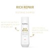 Goldwell Dualsenses Rich Repair Restoring Shampoo 250ml