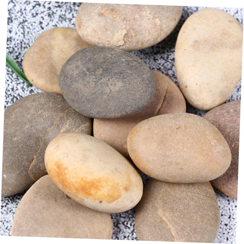 TEHAUX 10 Pack Hand Painted Stones Set with Bracket Kids