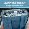 CleverMade Pacifica Collapsible Insulated Cooler – 50 Can / 31