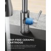 FORIOUS Kitchen Faucet with Soap Dispenser, Brushed Nickel, Single Handle