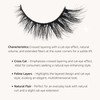 Mink Wispy Fluffy False Eyelashes – Cat Eye Lashes with