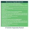 Herbs for Containers Seeds – 6 Varieties Separately Packed –