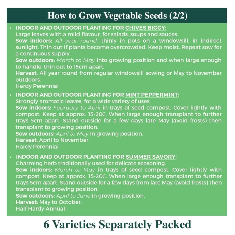 Herbs for Containers Seeds – 6 Varieties Separately Packed –