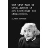 Keep Calm Collection The True Sign Of Intelligence (Albert Einstein Quote), motivational classroom poster